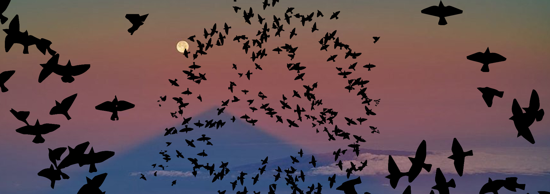 New York City Anarchist Book Fair